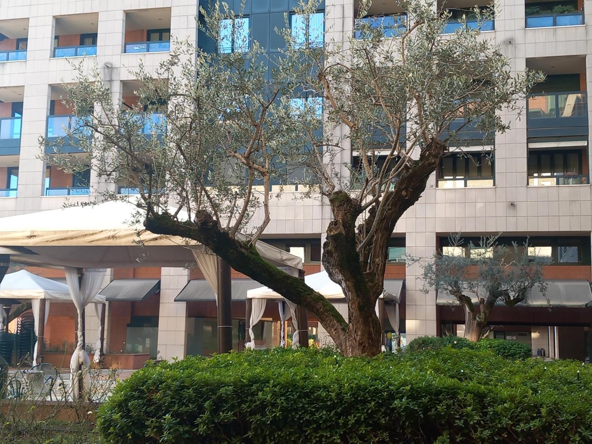 Bilocale Con Terrazzo E Box Auto Su Richiesta Apartment Como Exterior foto